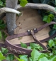 Preview: - Kopie